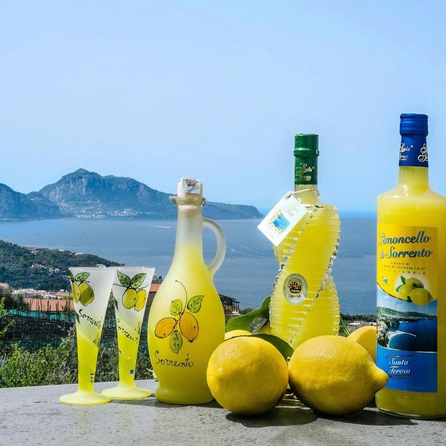 B&B Mamma Sorrento Holidays Bagian luar foto